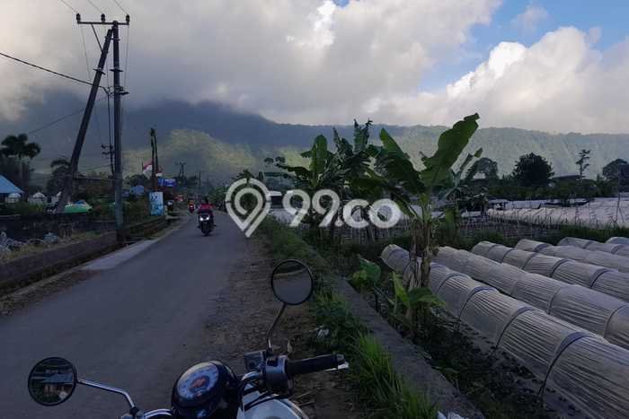 Tanah Siap Bangun Dijual di Tabanan Punya Luas 4200m2 Tanah Siap Bangun Dijual di Tabanan Punya Luas 4200m2