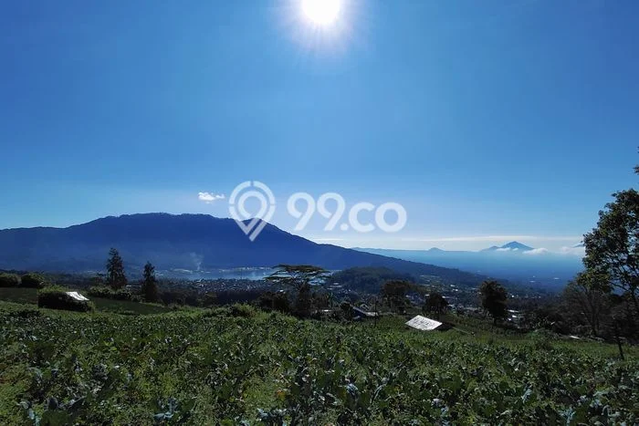 Tanah Dijual di Tabanan Seluas 2000m2 Strategis Tanah Dijual di Tabanan Seluas 2000m2 Strategis