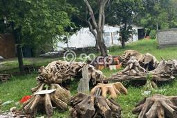 Dijual Tanah Lokasi Sanur, Denpasar Seluas 676m2 Dijual Tanah Lokasi Sanur, Denpasar Seluas 676m2