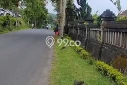 Dijual Tanah 11140m2 di Bedugul, Tabanan Dijual Tanah 11140m2 di Bedugul, Tabanan