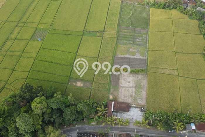 Kavling Tanah untuk Dijual di Kelating, Tabanan, Luas 8950m2 Kavling Tanah untuk Dijual di Kelating, Tabanan, Luas 8950m2