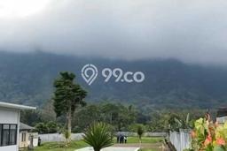 Tanah Kavling Dijual di Tabanan dengan Spesifikasi 5000m2 Tanah Kavling Dijual di Tabanan dengan Spesifikasi 5000m2