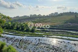 Tanah Investasi Dijual di Badung Punya Luas 1683m2 Tanah Investasi Dijual di Badung Punya Luas 1683m2