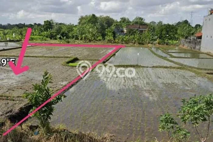 Dijual Tanah di Tabanan, Luas 2300m2 SHM Dijual Tanah di Tabanan, Luas 2300m2 SHM