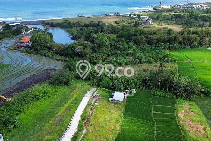 Kavling Tanah untuk Dijual di Cemagi, Badung, Luas 13600m2 Kavling Tanah untuk Dijual di Cemagi, Badung, Luas 13600m2