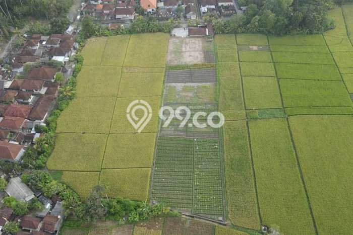 Kavling Tanah untuk Dijual di Kelating, Tabanan, Luas 8950m2 Kavling Tanah untuk Dijual di Kelating, Tabanan, Luas 8950m2
