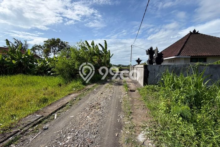 Tanah Kavling Dijual di Tabanan dengan Spesifikasi 1000m2 Tanah Kavling Dijual di Tabanan dengan Spesifikasi 1000m2