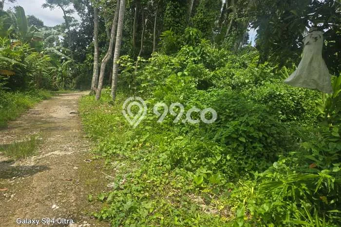 Tanah Investasi Dijual di Gianyar Punya Luas 9002m2 Tanah Investasi Dijual di Gianyar Punya Luas 9002m2