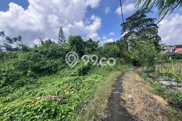 Tanah Dijual Area Strategis di canggu Badung 1080m2 Tanah Dijual Area Strategis di canggu Badung 1080m2