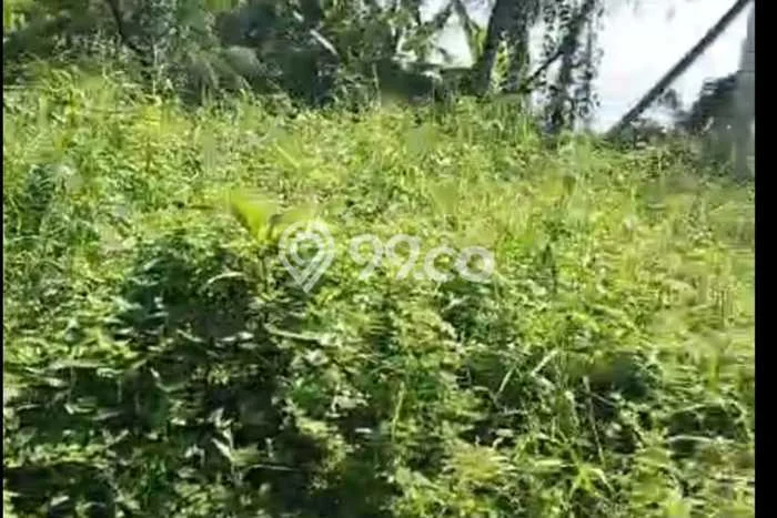Dijual Tanah 1000m2 di Buwit, Tabanan Dijual Tanah 1000m2 di Buwit, Tabanan