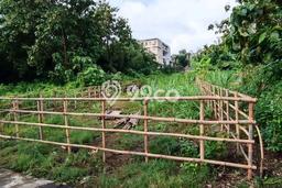 Dijual Tanah 1000m2 di Jimbaran, Badung Dijual Tanah 1000m2 di Jimbaran, Badung