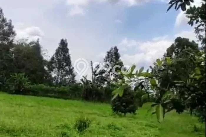 Lahan Investasi Lokasi Baturiti Tabanan SHM Lahan Investasi Lokasi Baturiti Tabanan SHM