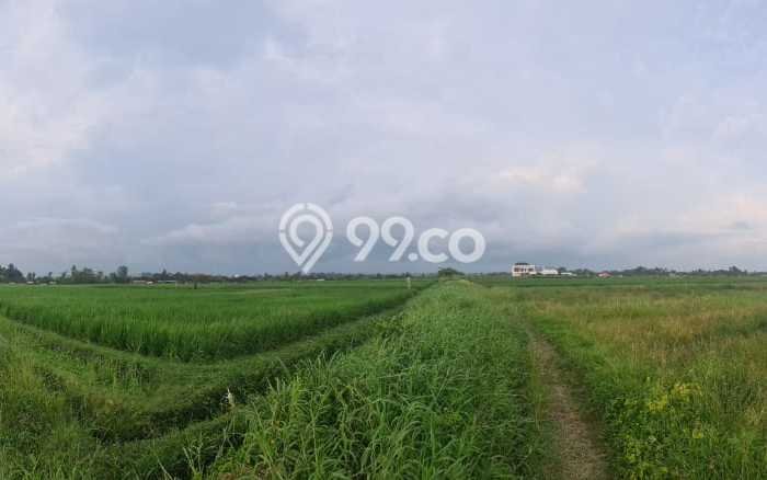 Tanah Dijual Lokasi Strategis di Tabanan dengan Luas 1150m2 Tanah Dijual Lokasi Strategis di Tabanan dengan Luas 1150m2