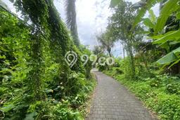 Lahan Investasi Lokasi Ubud Gianyar SHM Lahan Investasi Lokasi Ubud Gianyar SHM