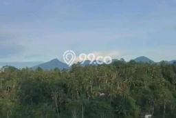 Untuk Dijual Tanah 3395m2 di Taro, Gianyar Untuk Dijual Tanah 3395m2 di Taro, Gianyar