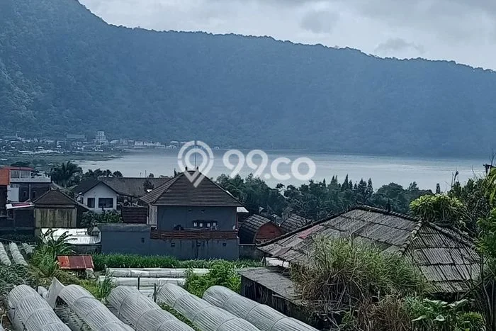 Tanah Kavling Dijual di Tabanan dengan Spesifikasi 1300m2 Tanah Kavling Dijual di Tabanan dengan Spesifikasi 1300m2