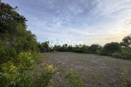 Dijual Tanah 15000m2 di Nusa Dua, Badung Dijual Tanah 15000m2 di Nusa Dua, Badung