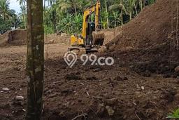 Lahan Kosong Dijual di Klungkung dengan Area 6025m2 Lahan Kosong Dijual di Klungkung dengan Area 6025m2
