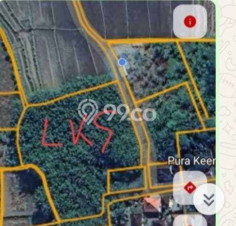 Tanah Kavling Dijual di Batubulan, Gianyar dengan Luas Tanah 3000m2 Tanah Kavling Dijual di Batubulan, Gianyar dengan Luas Tanah 3000m2