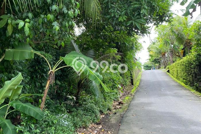 Tanah Kavling Dijual di Batubulan, Gianyar dengan Luas Tanah 2400m2 Tanah Kavling Dijual di Batubulan, Gianyar dengan Luas Tanah 2400m2