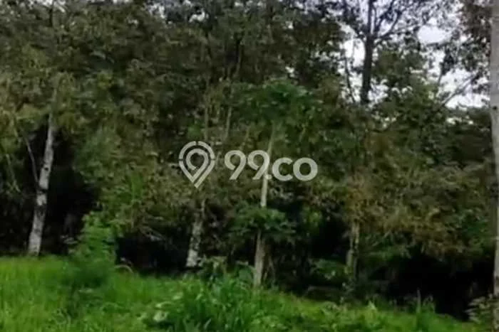 Lahan Investasi Lokasi Baturiti Tabanan SHM Lahan Investasi Lokasi Baturiti Tabanan SHM