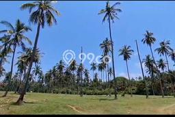 Dijual Tanah Lokasi Antap, Tabanan Seluas 24500m2 Dijual Tanah Lokasi Antap, Tabanan Seluas 24500m2