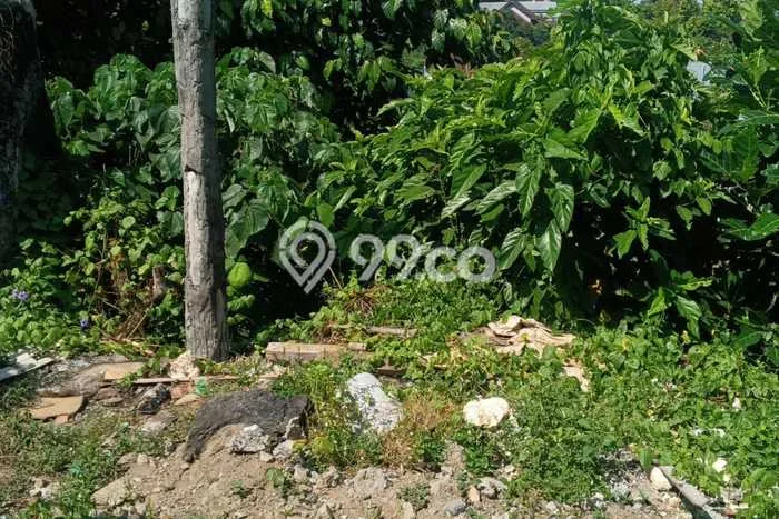 Tanah Siap Pakai Disewakan di Denpasar Timur, Denpasar, Luas 250m2 Tanah Siap Pakai Disewakan di Denpasar Timur, Denpasar, Luas 250m2