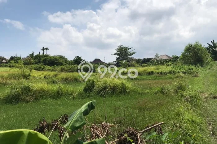 Tanah Dijual di Badung Seluas 2100m2 Strategis Tanah Dijual di Badung Seluas 2100m2 Strategis