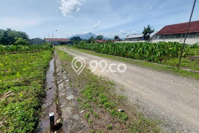 Lahan Dijual Lokasi Strategis di Bogor dengan Luas 109m2 Lahan Dijual Lokasi Strategis di Bogor dengan Luas 109m2