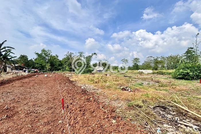Lahan Investasi Lokasi Cisauk Tangerang SHM Lahan Investasi Lokasi Cisauk Tangerang SHM