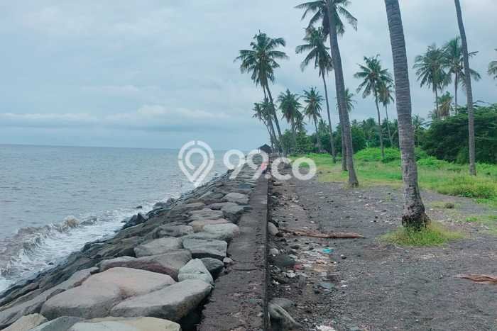 Tanah Dijual Lokasi Kubutambahan, Buleleng Luas 2610m2 Legalitas Aman Tanah Dijual Lokasi Kubutambahan, Buleleng Luas 2610m2 Legalitas Aman