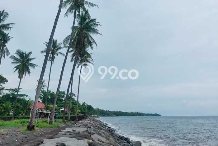 Tanah Dijual Lokasi Kubutambahan, Buleleng Luas 2610m2 Legalitas Aman Tanah Dijual Lokasi Kubutambahan, Buleleng Luas 2610m2 Legalitas Aman