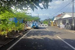 Jarang Ada! Tanah di Denpasar Utara Punya Luas 375m2 - Jarang Ada! Tanah di Denpasar Utara Punya Luas 375m2 -