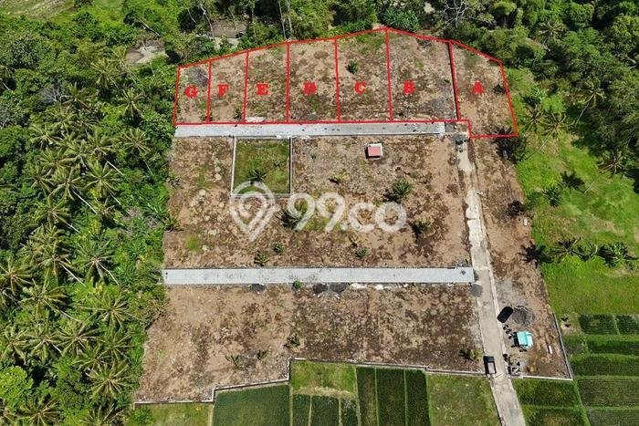 Tanah Dijual di Tabanan Seluas 550m2 Strategis Tanah Dijual di Tabanan Seluas 550m2 Strategis