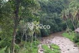 Untuk Dijual Tanah di Ubud Gianyar Luas 8000m2 SHM Untuk Dijual Tanah di Ubud Gianyar Luas 8000m2 SHM