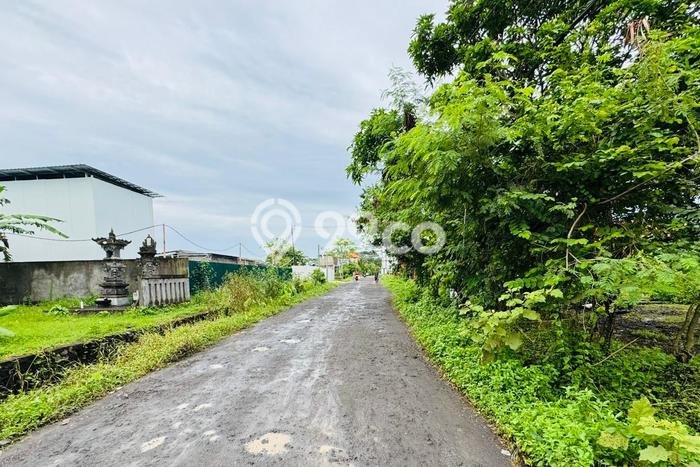 Kavling Tanah Dijual di Kediri Tabanan Spesifikasi 2265m2 Kavling Tanah Dijual di Kediri Tabanan Spesifikasi 2265m2