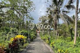HARGA MENARIK! Vila di Tabanan, Ukuran 4520m2m², Lingkungan Tenang dan aman HARGA MENARIK! Vila di Tabanan, Ukuran 4520m2m², Lingkungan Tenang dan aman