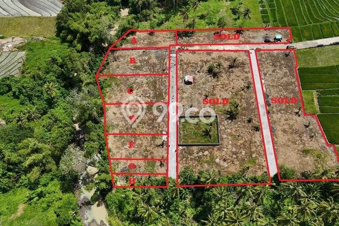 Tanah Dijual di Tabanan Seluas 550m2 Strategis Tanah Dijual di Tabanan Seluas 550m2 Strategis