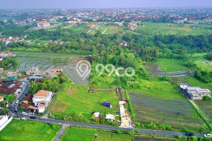 Tanah Dijual Lokasi Kediri, Tabanan dengan Luas Tanah 1060m2 dan Status - Tanah Dijual Lokasi Kediri, Tabanan dengan Luas Tanah 1060m2 dan Status -
