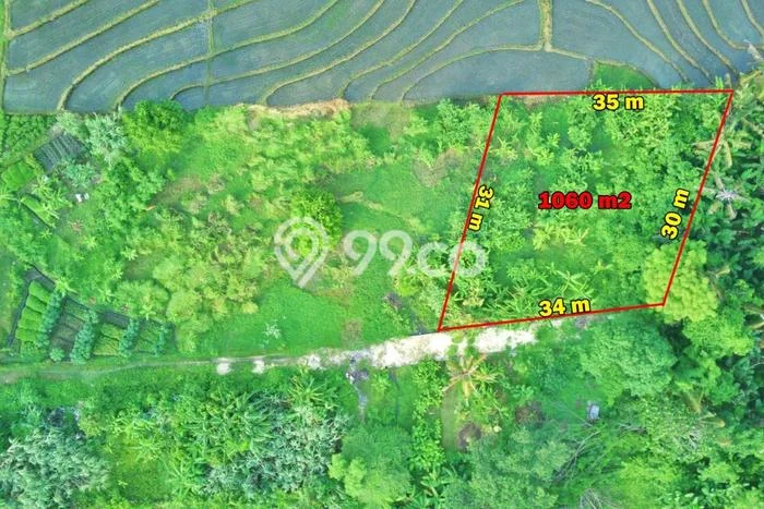 Tanah Dijual Lokasi Kediri, Tabanan dengan Luas Tanah 1060m2 dan Status - Tanah Dijual Lokasi Kediri, Tabanan dengan Luas Tanah 1060m2 dan Status -