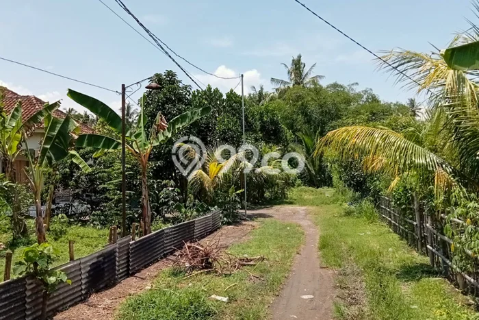 Lahan untuk Dijual Lokasi Narmada, Lombok Barat Luas 7439m2 SHM Lahan untuk Dijual Lokasi Narmada, Lombok Barat Luas 7439m2 SHM