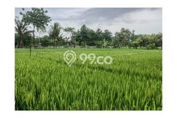 Kavling Tanah di Jonggol Dijual Luas 32388m2 Legalitas SHM Kavling Tanah di Jonggol Dijual Luas 32388m2 Legalitas SHM