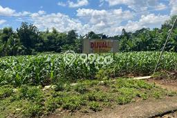Lahan untuk Dijual Lokasi Mojogedang, Karanganyar Luas 3000m2 SHM Lahan untuk Dijual Lokasi Mojogedang, Karanganyar Luas 3000m2 SHM