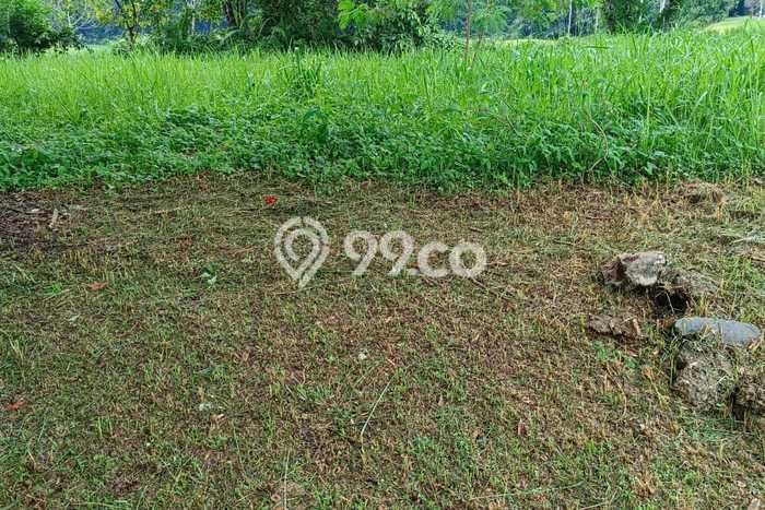 Tanah Kavling Dijual di Batam dengan Spesifikasi 1186m2 Tanah Kavling Dijual di Batam dengan Spesifikasi 1186m2