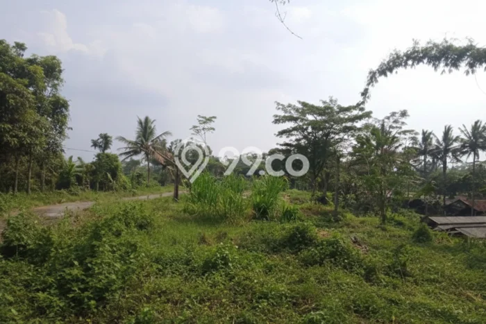 Lahan Investasi Lokasi Srumbung Magelang SHM Lahan Investasi Lokasi Srumbung Magelang SHM