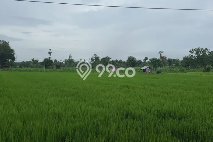 Lahan Kosong Dijual di Tuban dengan Area 4700m2 Lahan Kosong Dijual di Tuban dengan Area 4700m2