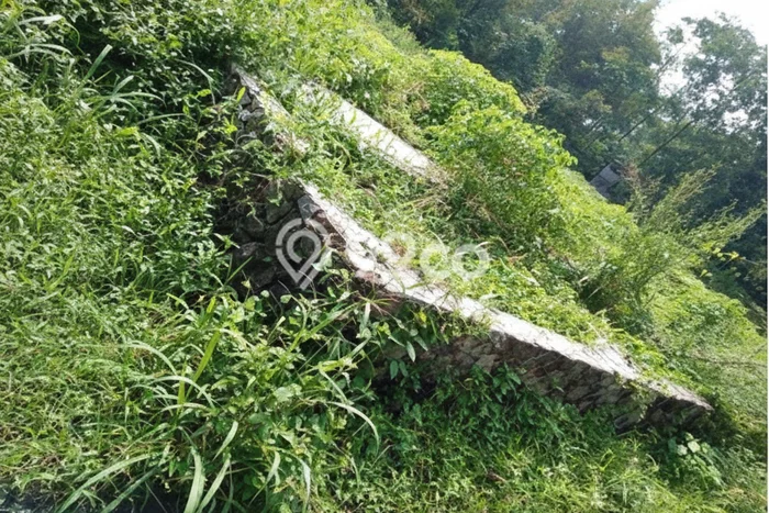Tanah untuk Dijual Lokasi Srumbung, Magelang Luas 10301m2 SHM Tanah untuk Dijual Lokasi Srumbung, Magelang Luas 10301m2 SHM