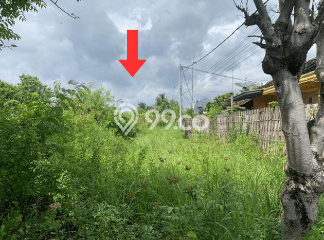 Lahan Strategis di Banyuwangi Dijual dengan Luas 4824m2 Lahan Strategis di Banyuwangi Dijual dengan Luas 4824m2