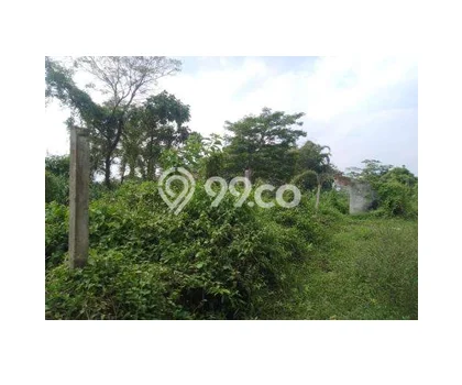 Lahan Investasi Lokasi Srumbung Magelang SHM Lahan Investasi Lokasi Srumbung Magelang SHM