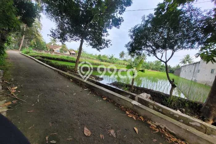 Tanah Kavling di Srumbung Dijual dengan Luas 1780m2 Tanah Kavling di Srumbung Dijual dengan Luas 1780m2